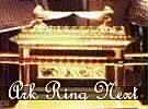 Ark Ring - Next